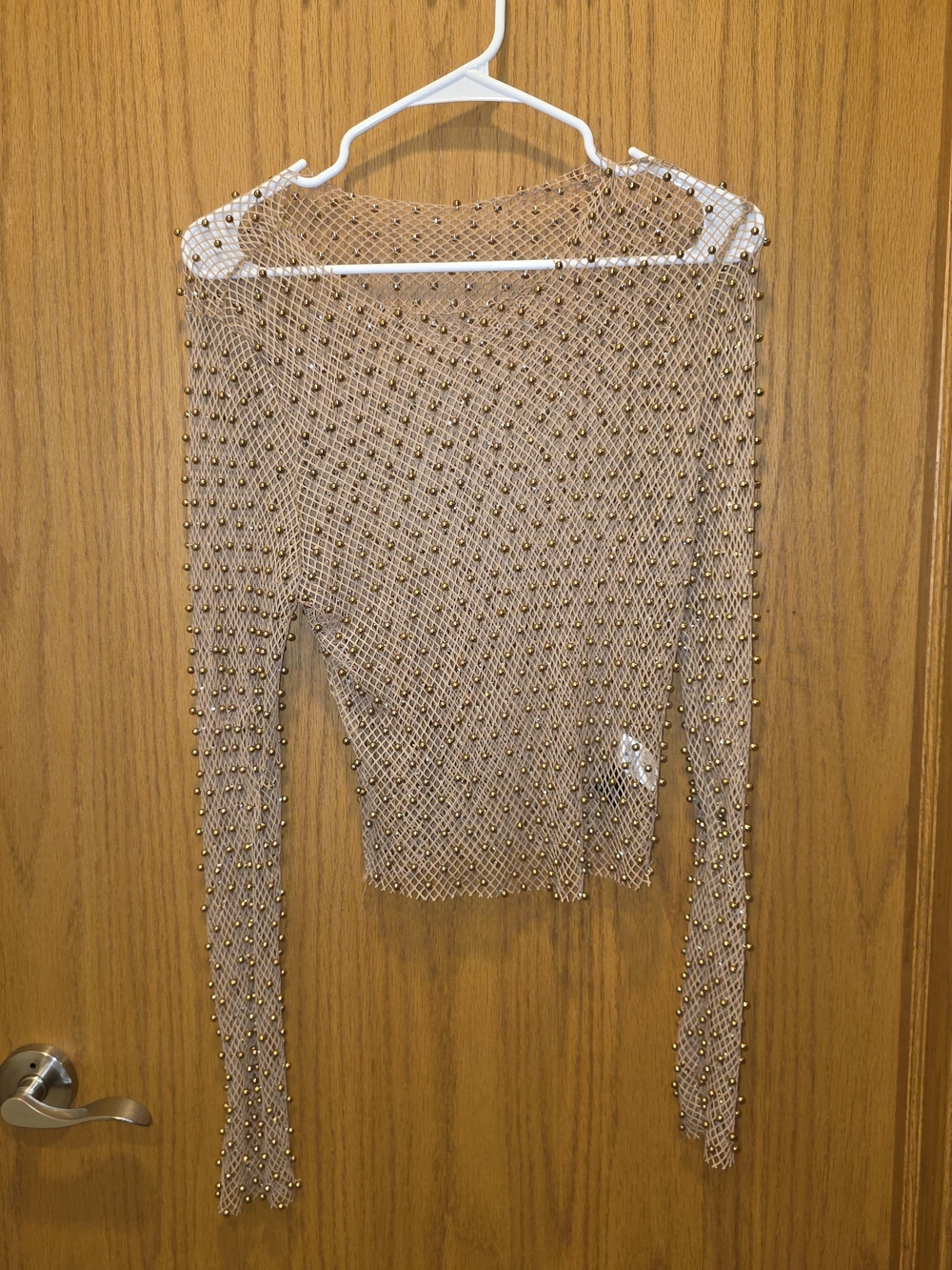 Windsor Beige Beaded Mesh Long-Sleeve Top